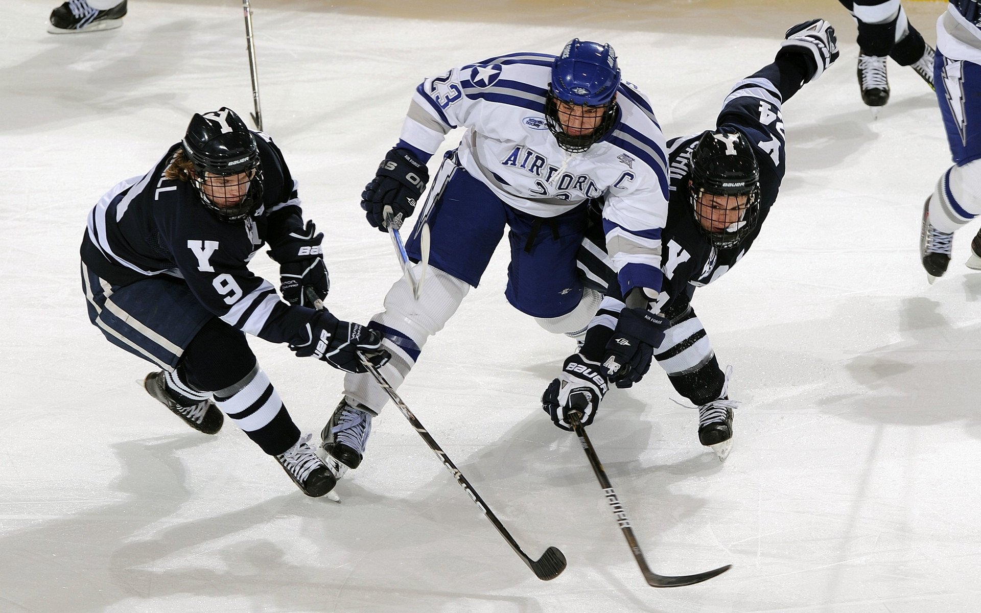 最后关头!王强关键三分绝杀,助北京险胜上海!,王强百科